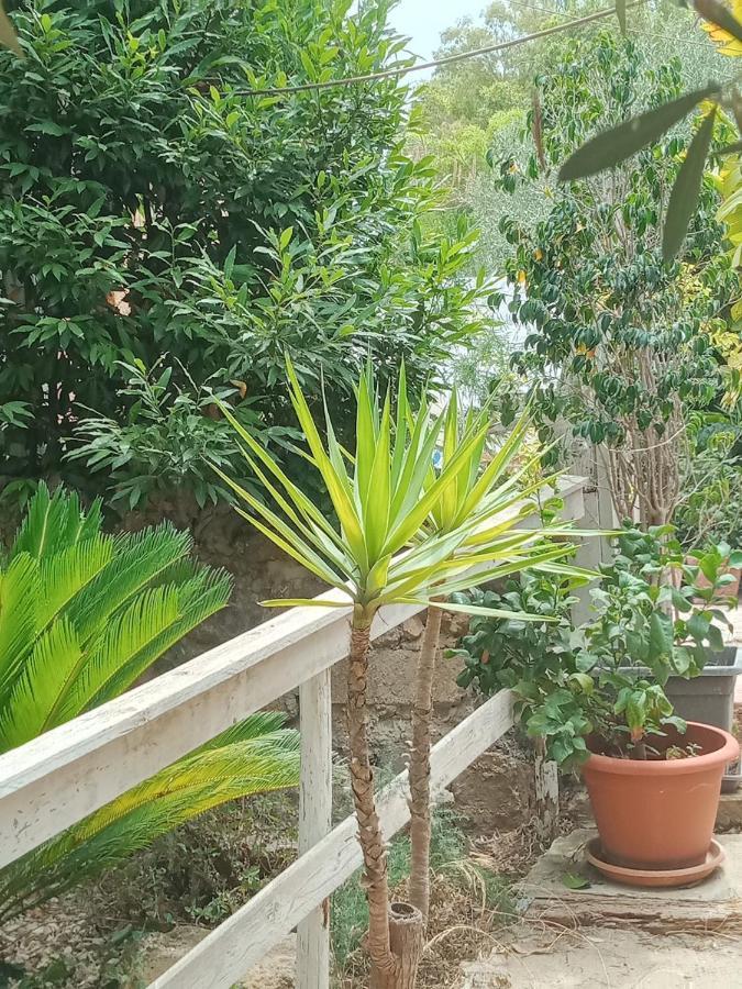 Green Cottage Agrigento Exterior photo
